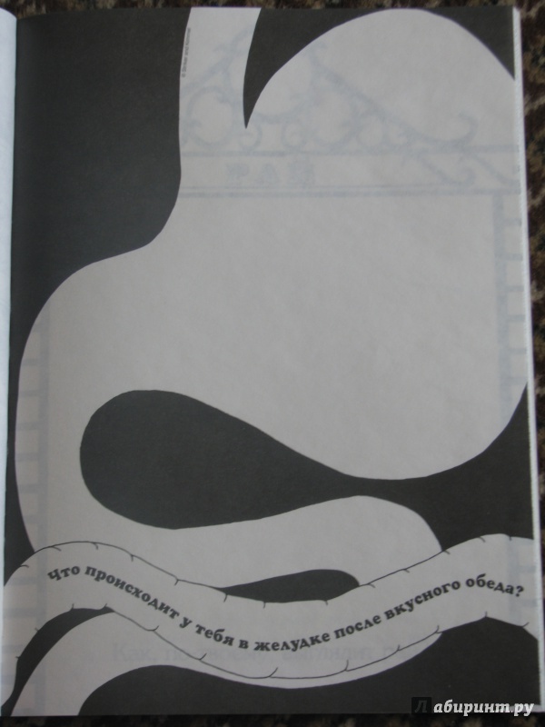 Иллюстрация 3 из 23 для Придумай и нарисуй - Страйкер, Киммель | Лабиринт - книги. Источник: Полина Караваева