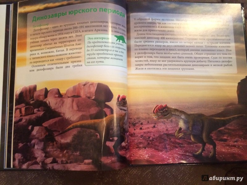 Иллюстрация 21 из 36 для Динозавры - Ирина Астапенко | Лабиринт - книги. Источник: Лабиринт