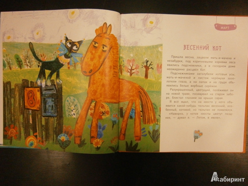 Иллюстрация 5 из 31 для Круглый год (+DVD) - Юрий Коваль | Лабиринт - книги. Источник: Maxima