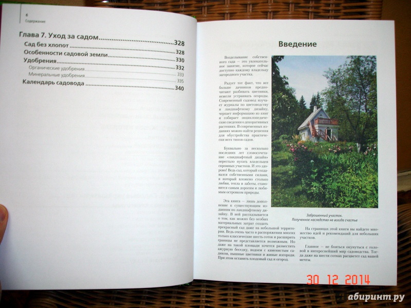 Иллюстрация 5 из 13 для Ландшафтный дизайн на дачных участках - Надежда Спиридонова | Лабиринт - книги. Источник: Kassavetes