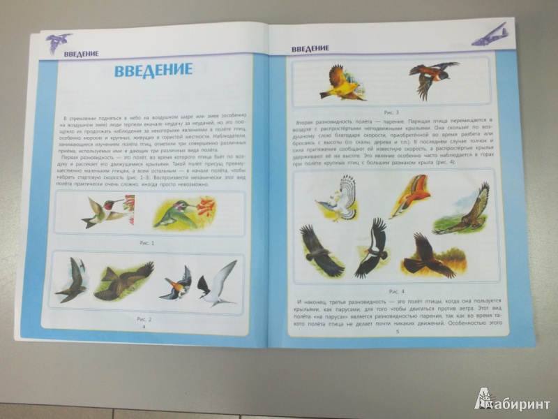 Иллюстрация 2 из 21 для Технология. 1-4 классы. Летающие модели (+CD) ФГОС - Виктор Выгонов | Лабиринт - книги. Источник: Диана Арипова