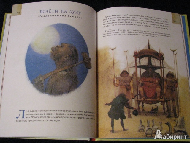 Иллюстрация 14 из 48 для Сказочное воздухоплавание - Андрей Усачев | Лабиринт - книги. Источник: Nemertona