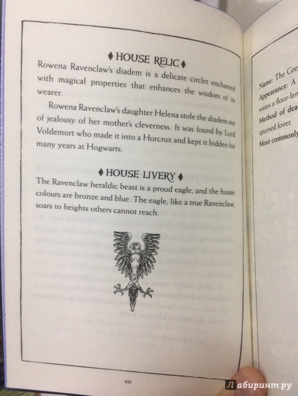 Иллюстрация 8 из 28 для Harry Potter and the Philosopher's Stone - Ravenclaw House Edition - Joanne Rowling | Лабиринт - книги. Источник: Lina