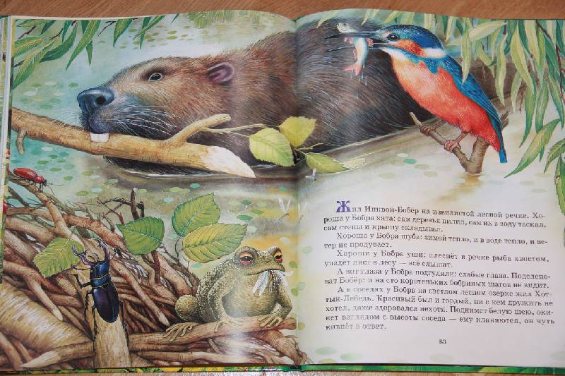 Иллюстрация 35 из 35 для Сказки о животных - Виталий Бианки | Лабиринт - книги. Источник: Vilvarin  Laurea