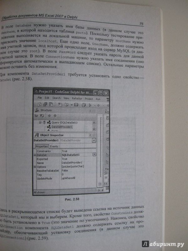 Иллюстрация 7 из 14 для Разработка приложений Microsoft Office 2007 в Delphi - Юрий Магда | Лабиринт - книги. Источник: В.