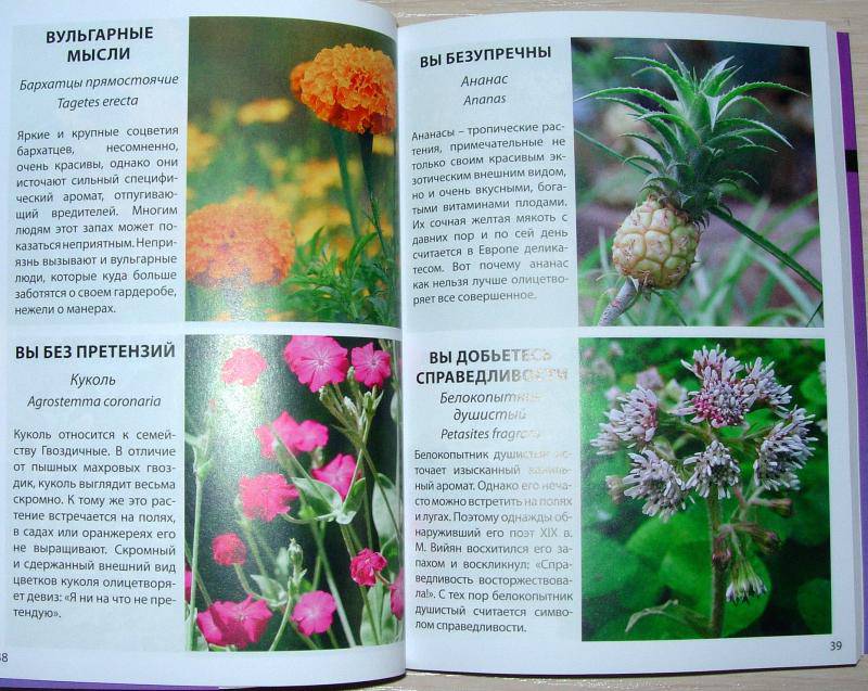 Иллюстрация 10 из 18 для Язык цветов | Лабиринт - книги. Источник: Rocio