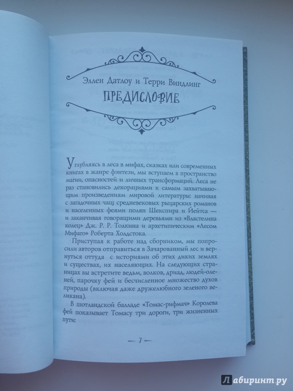 Иллюстрация 24 из 39 для Зеленый рыцарь - Ли, Гейман, Датлоу | Лабиринт - книги. Источник: shoutbee