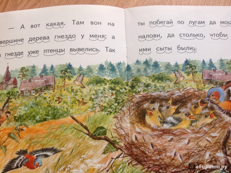 Иллюстрация 3 из 10 для Птичка - Александр Федоров-Давыдов | Лабиринт - книги. Источник: Буторина  Маргарита