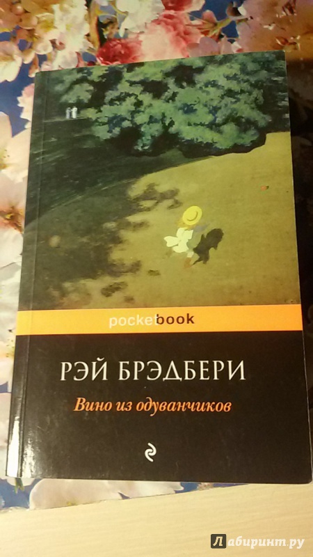 Иллюстрация 17 из 39 для Вино из одуванчиков - Рэй Брэдбери | Лабиринт - книги. Источник: Хазарадзе  Анна Сергеевна