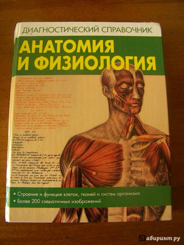 Иллюстрация 2 из 6 для Анатомия и физиология | Лабиринт - книги. Источник: Oresta