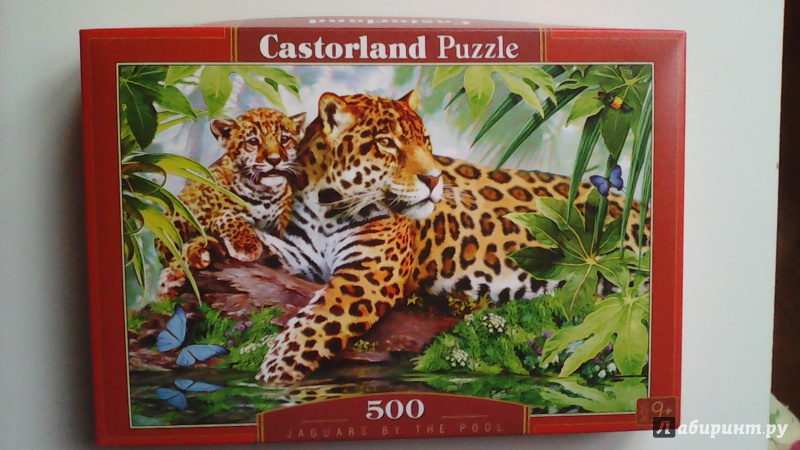 Иллюстрация 16 из 18 для Puzzle-500 "Ягуары у воды" (B-52011) | Лабиринт - игрушки. Источник: M-Mare