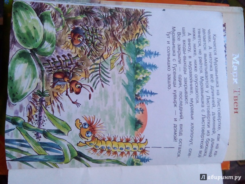 Иллюстрация 2 из 6 для Как муравьишка домой спешил - Виталий Бианки | Лабиринт - книги. Источник: Анрепо Екатерина