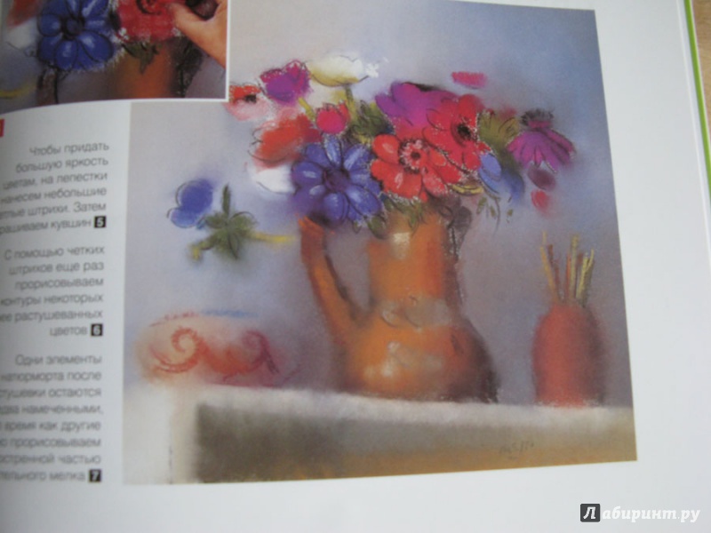 Иллюстрация 17 из 17 для Рисуем цветы. Экспресс - курс - Myriam Ferron | Лабиринт - книги. Источник: Sova