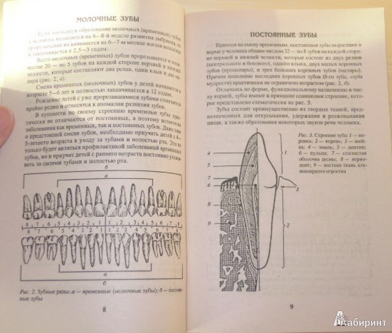 Иллюстрация 2 из 5 для Здоровые зубы и десны - М.Ш. Мангасарян | Лабиринт - книги. Источник: Iwolga