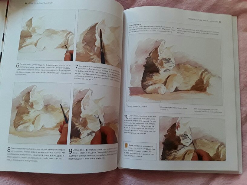 Иллюстрация 25 из 31 для Животные. От эскиза до картины - Ходжет, Трусс | Лабиринт - книги. Источник: Ан Дарья