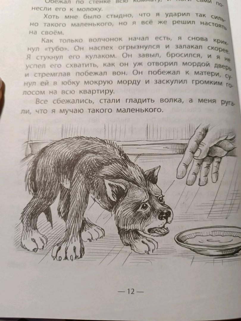 Иллюстрация 43 из 49 для Разиня и другие рассказы - Борис Житков | Лабиринт - книги. Источник: Оксана