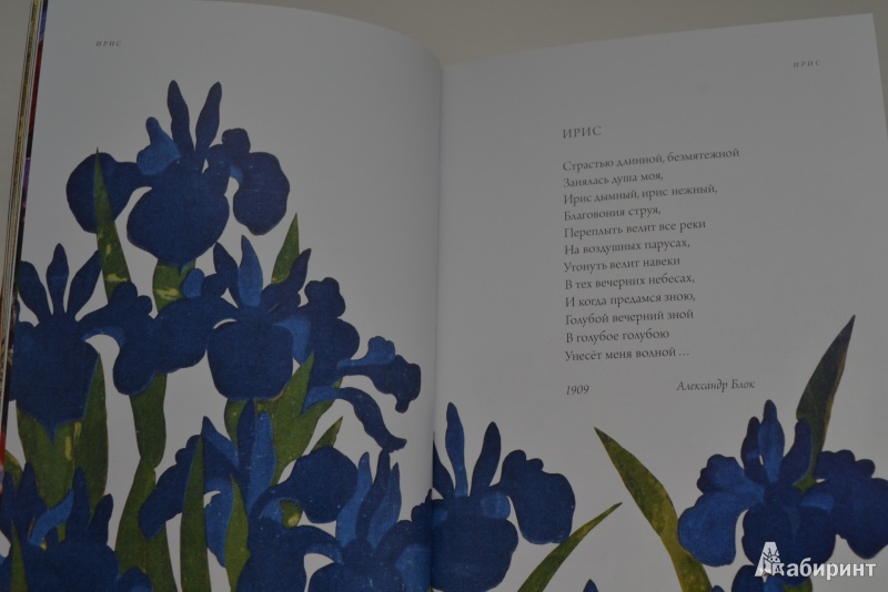 Иллюстрация 5 из 58 для Любовь к ботанике | Лабиринт - книги. Источник: Nataushe