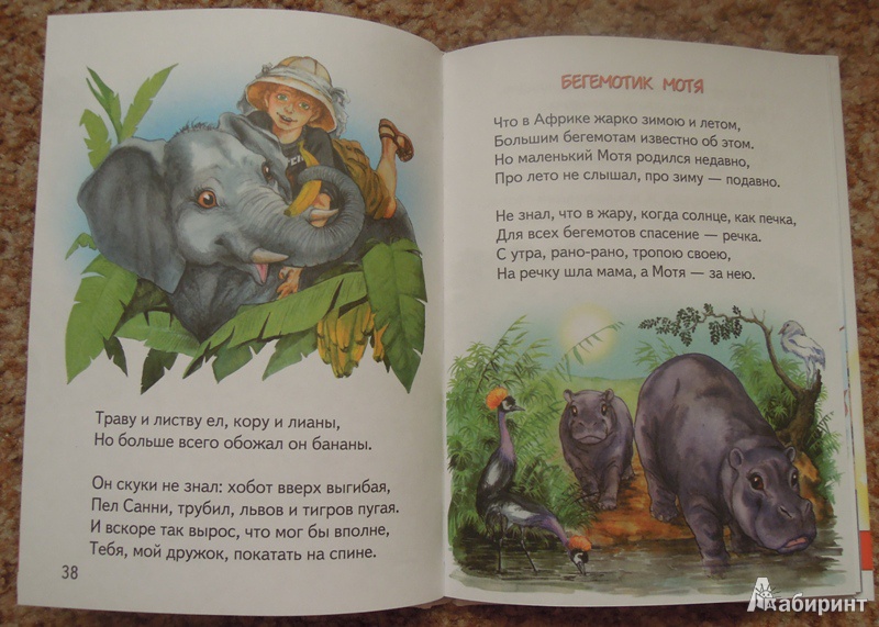 Иллюстрация 6 из 19 для Сказочный лес | Лабиринт - книги. Источник: Добродея