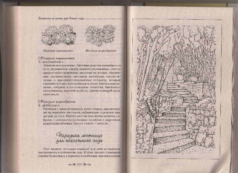 Иллюстрация 3 из 40 для Фантазии из камня для вашего сада - Анна Зайцева | Лабиринт - книги. Источник: Урядова  Анна Владимировна