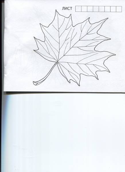 Иллюстрация 14 из 19 для Листья | Лабиринт - книги. Источник: Марфа Посадница