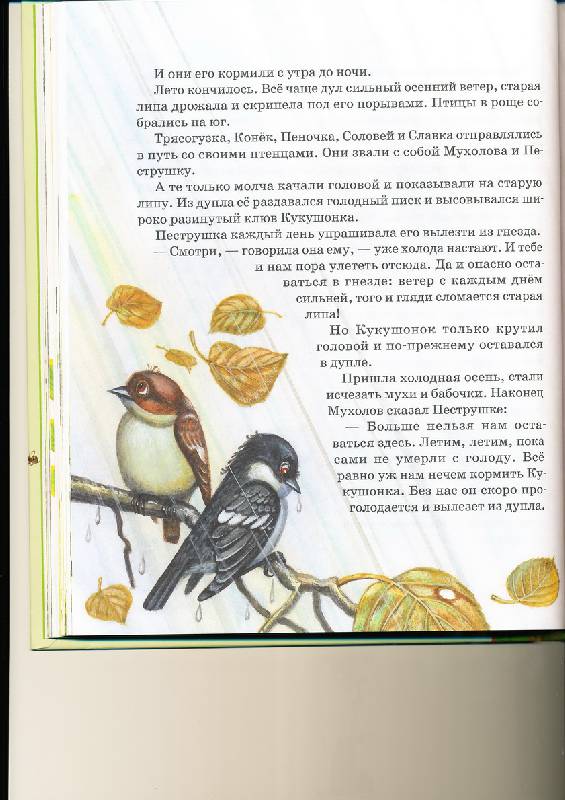 Иллюстрация 21 из 34 для Как муравьишка домой спешил - Виталий Бианки | Лабиринт - книги. Источник: радуга-дуга