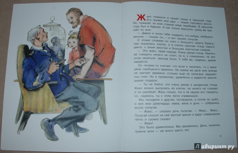 Иллюстрация 22 из 31 для Воинственный Жако - Сергей Воронин | Лабиринт - книги. Источник: Книжный кот