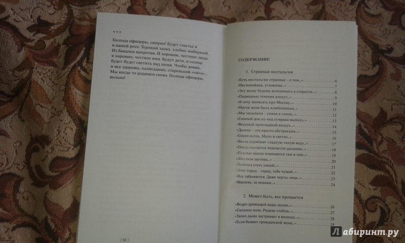 Иллюстрация 5 из 9 для Перед грозой - Иван Купреянов | Лабиринт - книги. Источник: Соколенко  Света