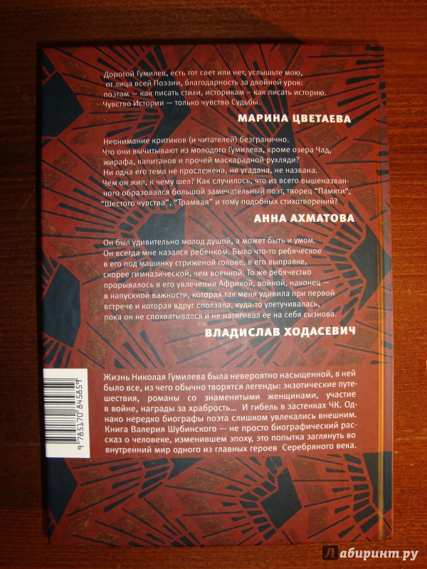 Иллюстрация 2 из 12 для Зодчий. Жизнь Николая Гумилева - Валерий Шубинский | Лабиринт - книги. Источник: Чародейница