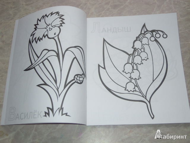 Иллюстрация 7 из 13 для Забавные полевые цветы | Лабиринт - книги. Источник: Iwolga