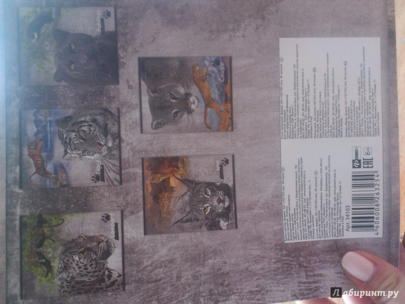Иллюстрация 4 из 5 для Тетрадь 48 листов, клетка "Дикие кошки", в ассортименте (34103-5) | Лабиринт - канцтовы. Источник: СоВЁнок