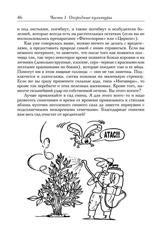 Иллюстрация 10 из 14 для Новые идеи для сада и огорода - Галина Кизима | Лабиринт - книги. Источник: Ялина