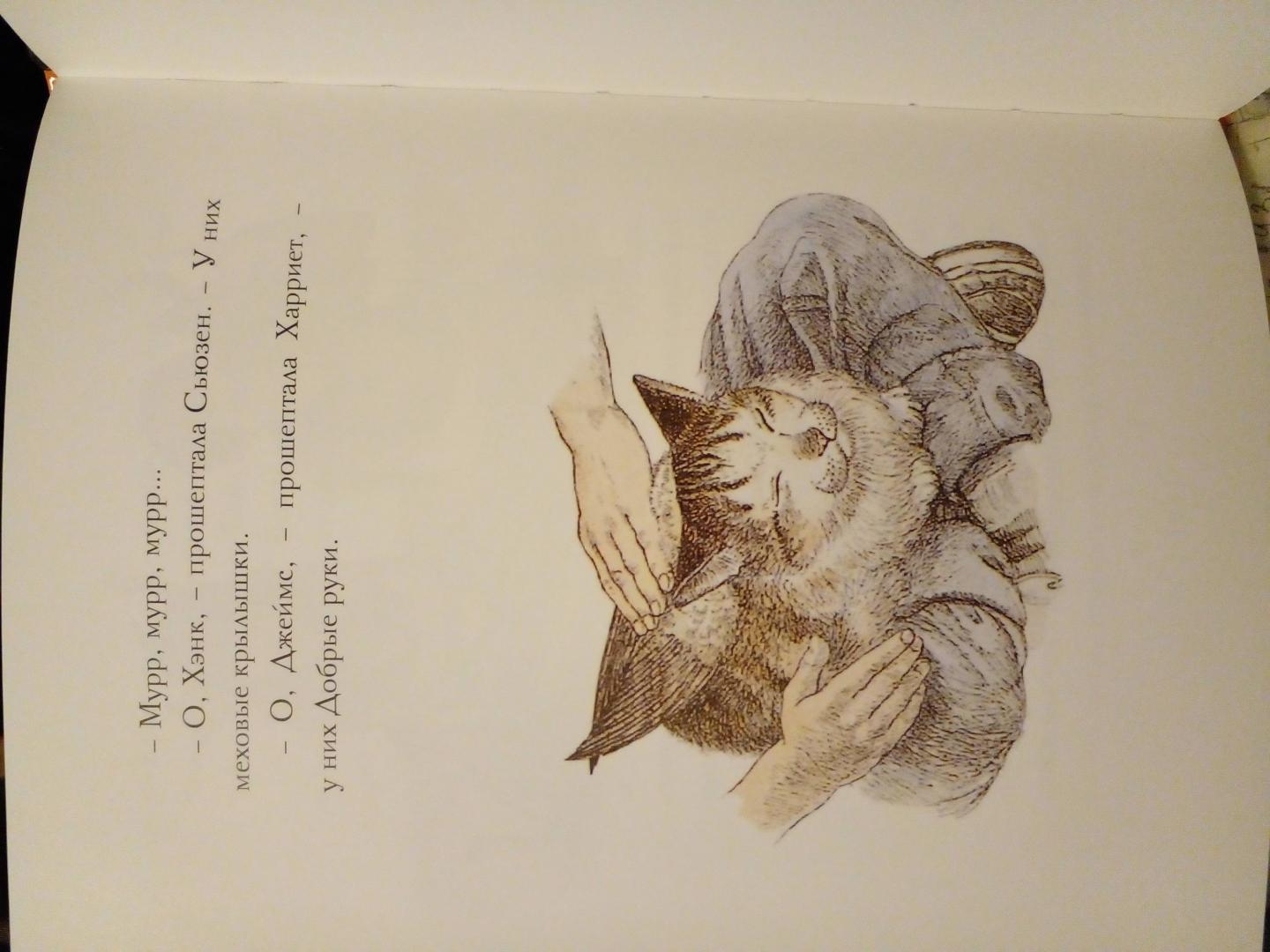 Иллюстрация 58 из 59 для Крылатые кошки - Гуин Ле | Лабиринт - книги. Источник: Сайдашева  Алина