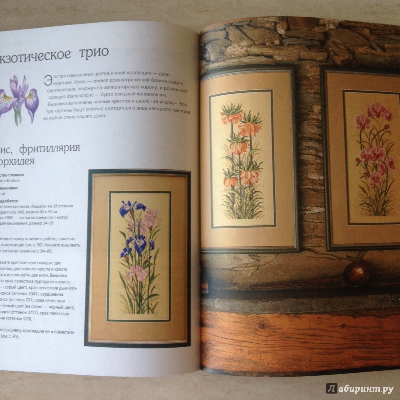 Иллюстрация 30 из 31 для Цветы - Джейн Мэйхью | Лабиринт - книги. Источник: Мещерякова  Ольга Юрьевна