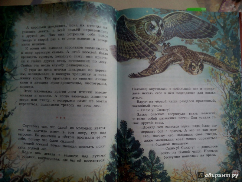 Иллюстрация 31 из 33 для Большая книга рассказов - Виталий Бианки | Лабиринт - книги. Источник: Татьяна