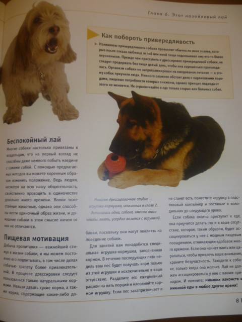 Иллюстрация 22 из 42 для Как отучить собаку от вредных привычек - Колин Теннант | Лабиринт - книги. Источник: Avid Reader