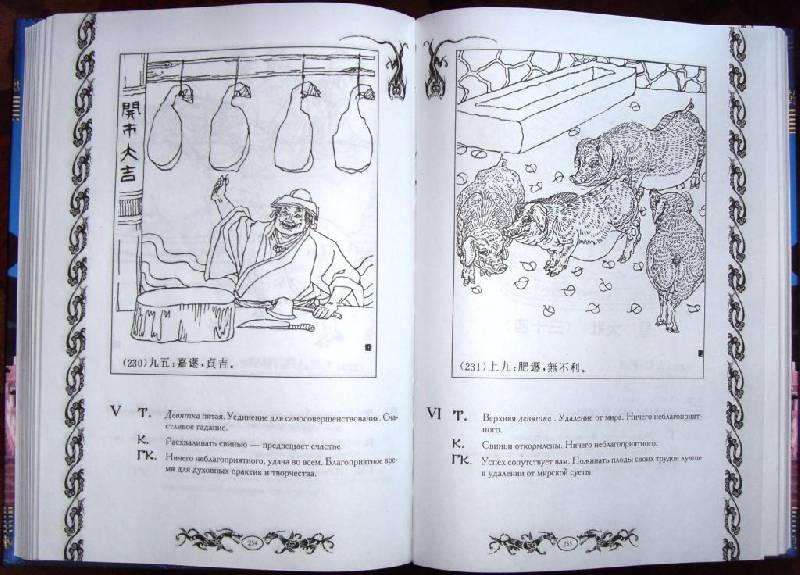 Иллюстрация 28 из 33 для Иллюстрированный гадательный "И цзин" | Лабиринт - книги. Источник: Альгиз