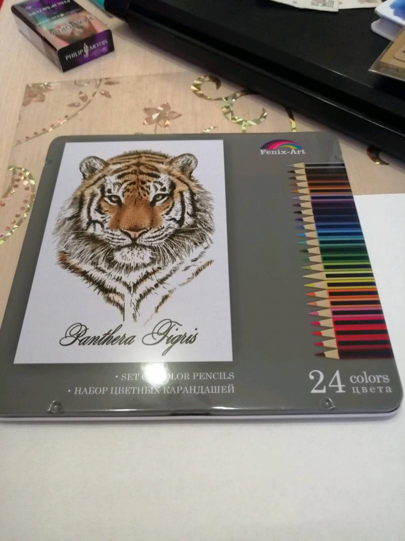 Иллюстрация 34 из 63 для Карандаши цветные "Тигр" (24 цвета, металлическая коробка) (32871) | Лабиринт - канцтовы. Источник: Курочкина Людмила