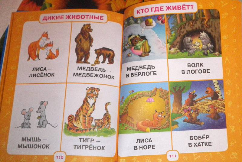 Иллюстрация 84 из 105 для Первый учебник малыша. От 6 месяцев до 3 лет - Олеся Жукова | Лабиринт - книги. Источник: АннаЛ