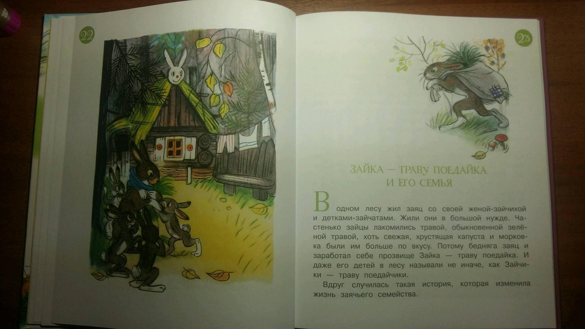 Иллюстрация 36 из 40 для Сказки о животных - Кипнис, Мурадян, Юсупов | Лабиринт - книги. Источник: Marmota