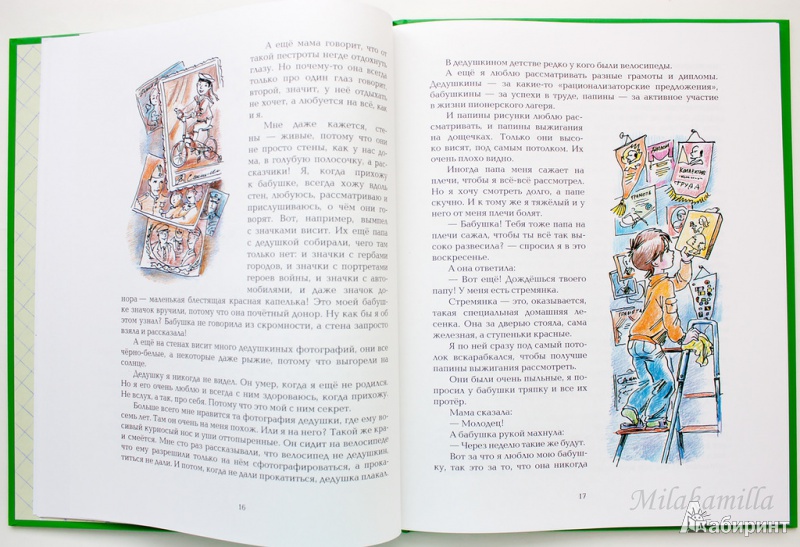 Иллюстрация 41 из 66 для Большое путешествие домой - Елена Ракитина | Лабиринт - книги. Источник: Букландия