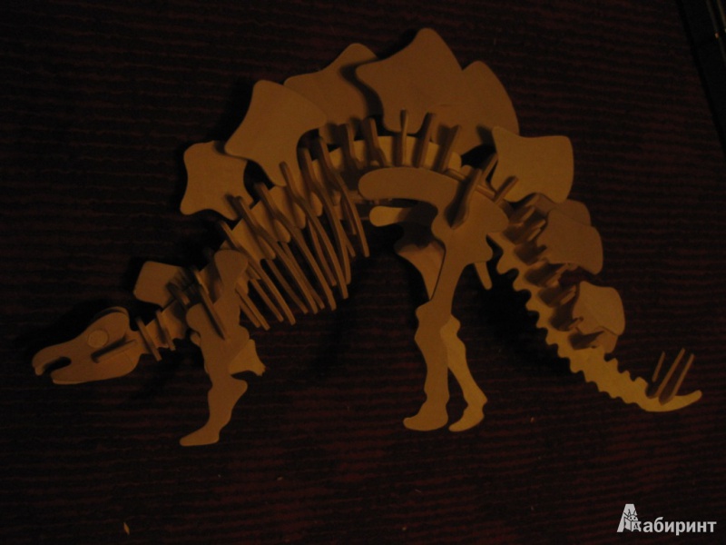 Иллюстрация 8 из 8 для Стегозавр (J002) | Лабиринт - игрушки. Источник: Диана Арипова