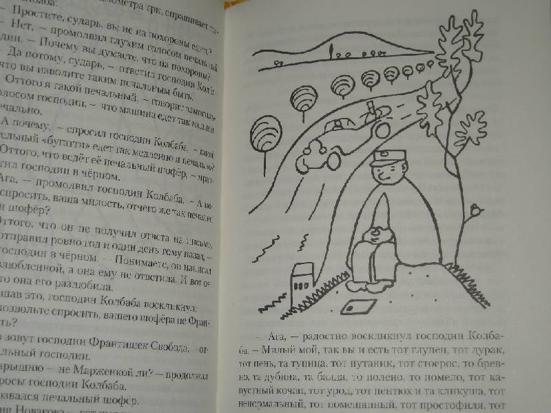 Иллюстрация 17 из 30 для Сказки - Карел Чапек | Лабиринт - книги. Источник: Мартынова  Анна Владимировна