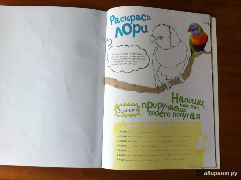 Иллюстрация 22 из 25 для Как дружить с попугайчиком | Лабиринт - книги. Источник: ИрМур
