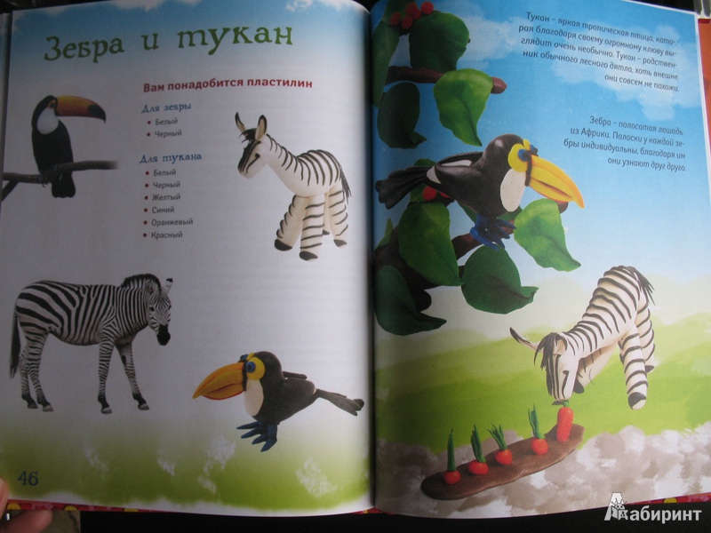 Иллюстрация 14 из 19 для Зоопарк из пластилина - Алена Багрянцева | Лабиринт - книги. Источник: Михно  Ольга