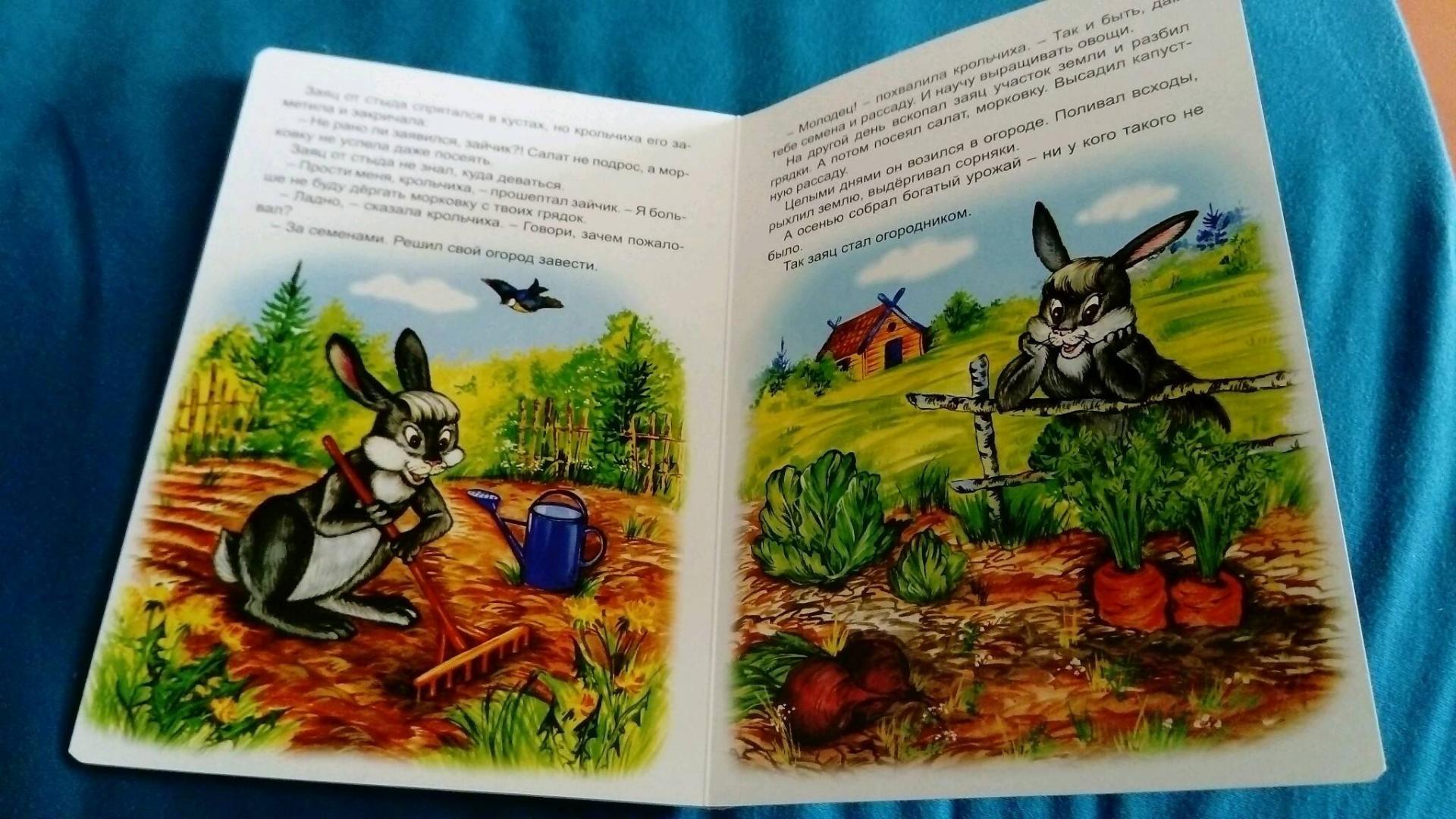 Иллюстрация 14 из 24 для Лесной огород - Н. Притулина | Лабиринт - книги. Источник: Эльвира Якупова