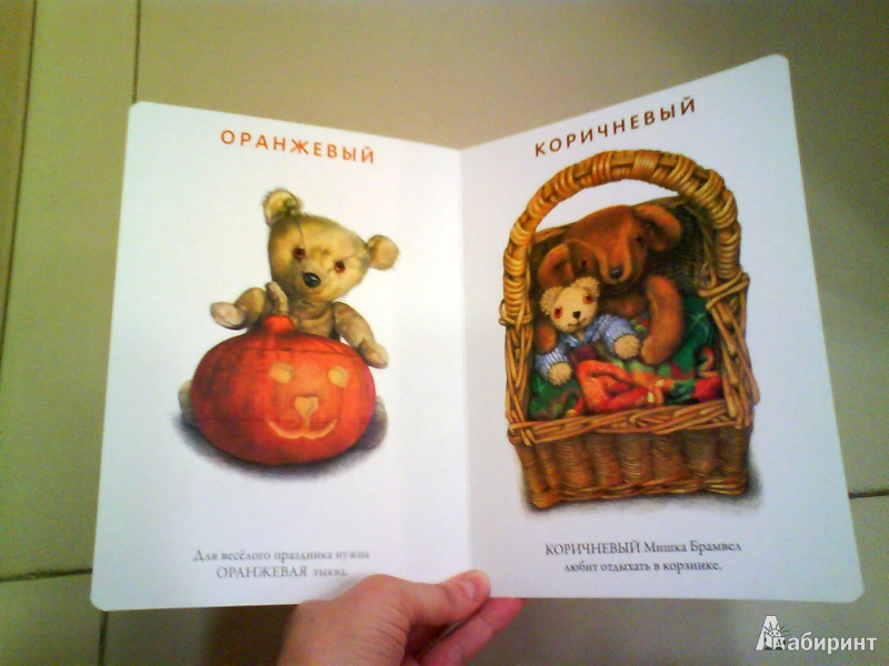 Иллюстрация 14 из 14 для Мой любимый медвежонок. Цвета - Джейн Хисси | Лабиринт - книги. Источник: Мила
