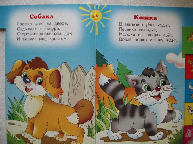 Иллюстрация 3 из 7 для Домашние животные. Стихи - Владимир Степанов | Лабиринт - книги. Источник: Витаминка