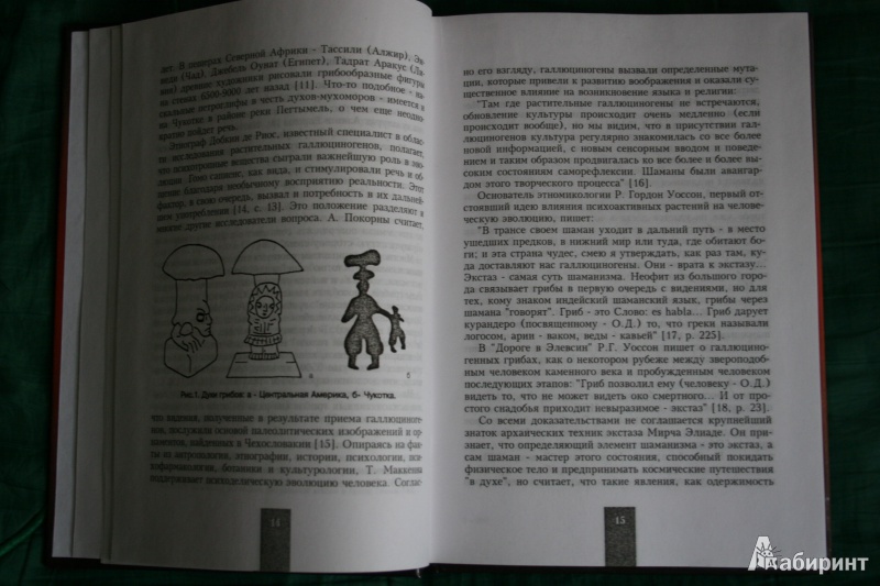 Иллюстрация 5 из 21 для Мистерии мухомора - Олард Диксон | Лабиринт - книги. Источник: Никшунова  Евгения