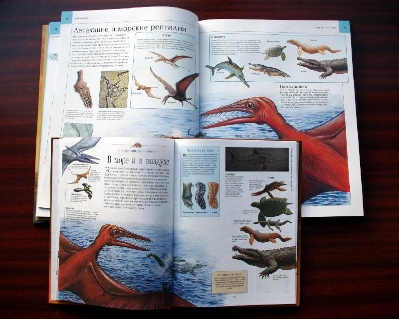 Иллюстрация 26 из 45 для Динозавры и рептилии | Лабиринт - книги. Источник: Валерия