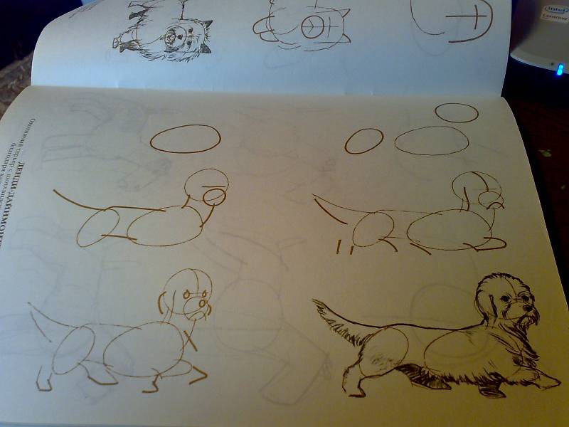 Иллюстрация 13 из 13 для Рисуем 50 собак - Ли Эймис | Лабиринт - книги. Источник: Юлия7